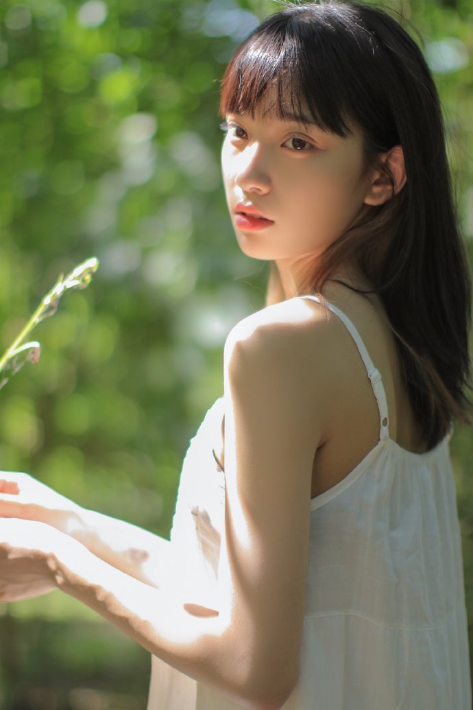 王国：亚辛传 封面